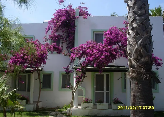 Avta Tatil Koeyue Holiday home *